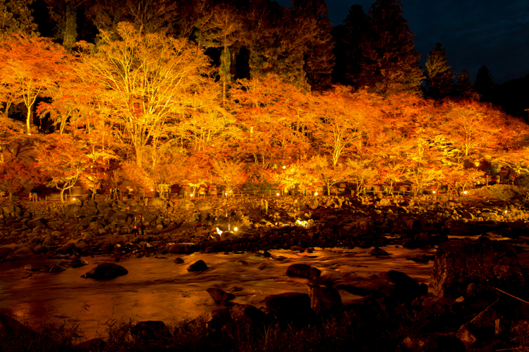 f:id:shiitakeoishi:20171022233320j:plain