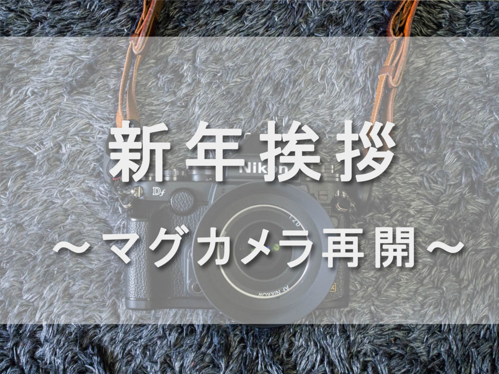 f:id:shiitakeoishi:20180105000452j:plain f:id:shiitakeoishi:20180105000452j:plain