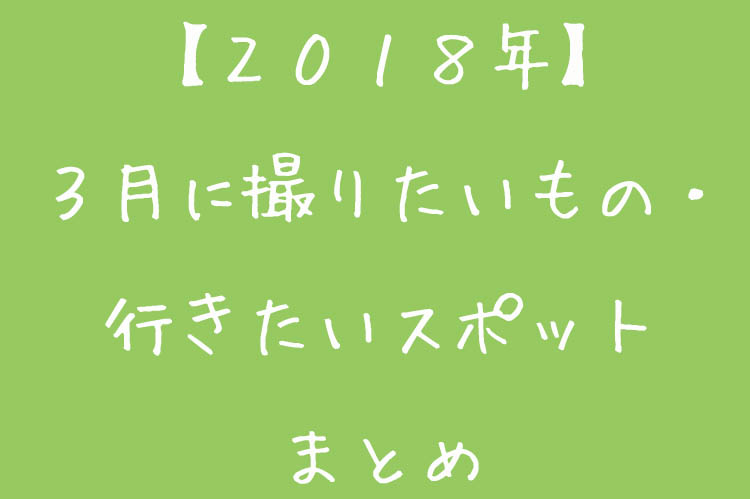 f:id:shiitakeoishi:20180224184357j:plain