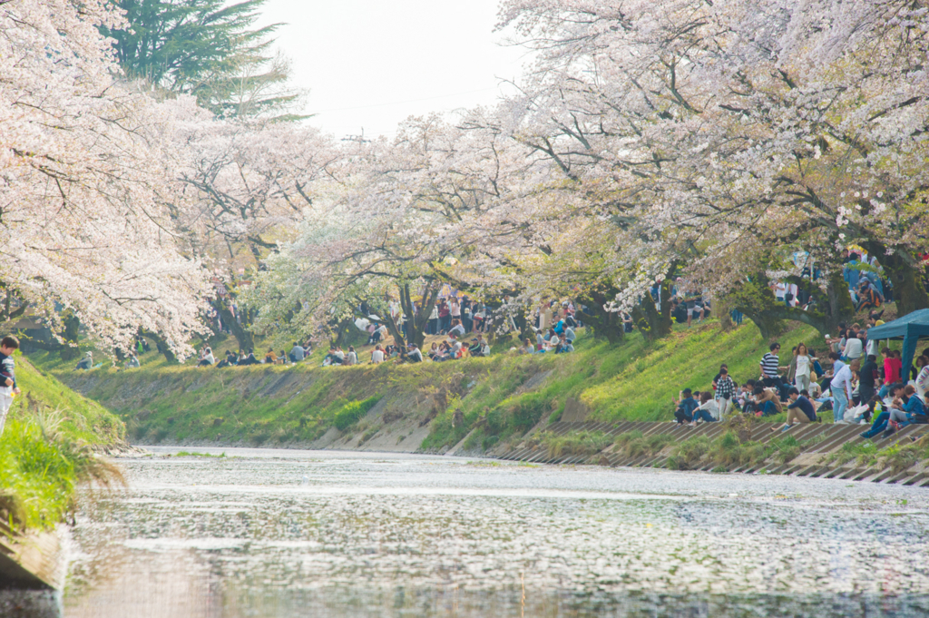 f:id:shiitakeoishi:20180403224123j:plain