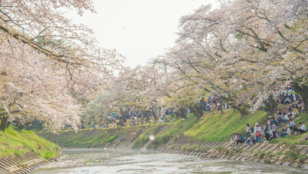 f:id:shiitakeoishi:20180403231453j:plain