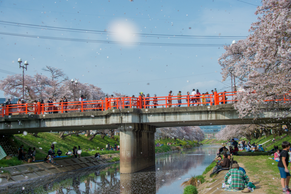 f:id:shiitakeoishi:20180403232421j:plain