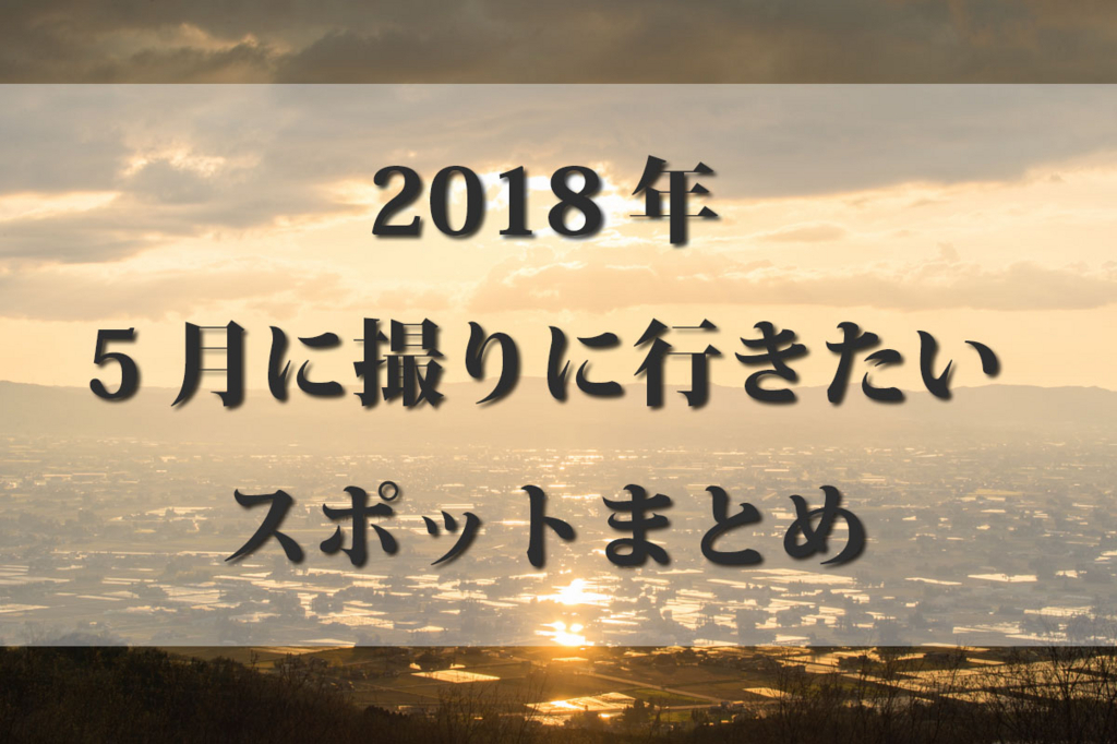 f:id:shiitakeoishi:20180415000237j:plain f:id:shiitakeoishi:20180415000237j:plain