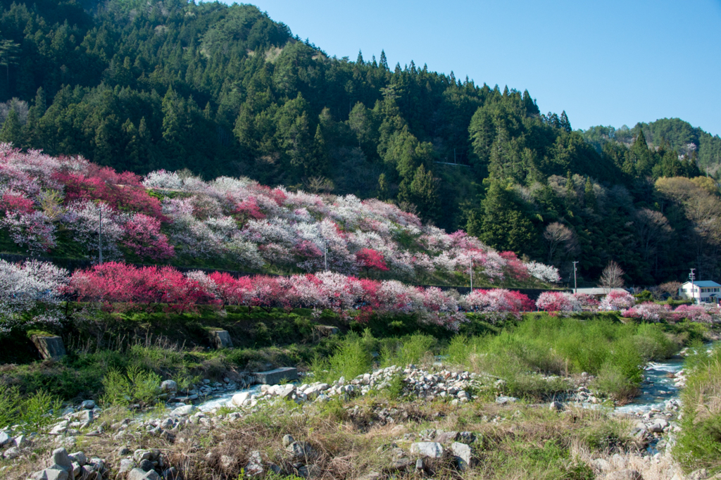 f:id:shiitakeoishi:20180525224605j:plain