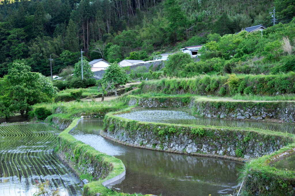 f:id:shiitakeoishi:20180527213515j:plain