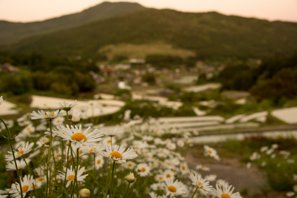 f:id:shiitakeoishi:20180527215308j:plain