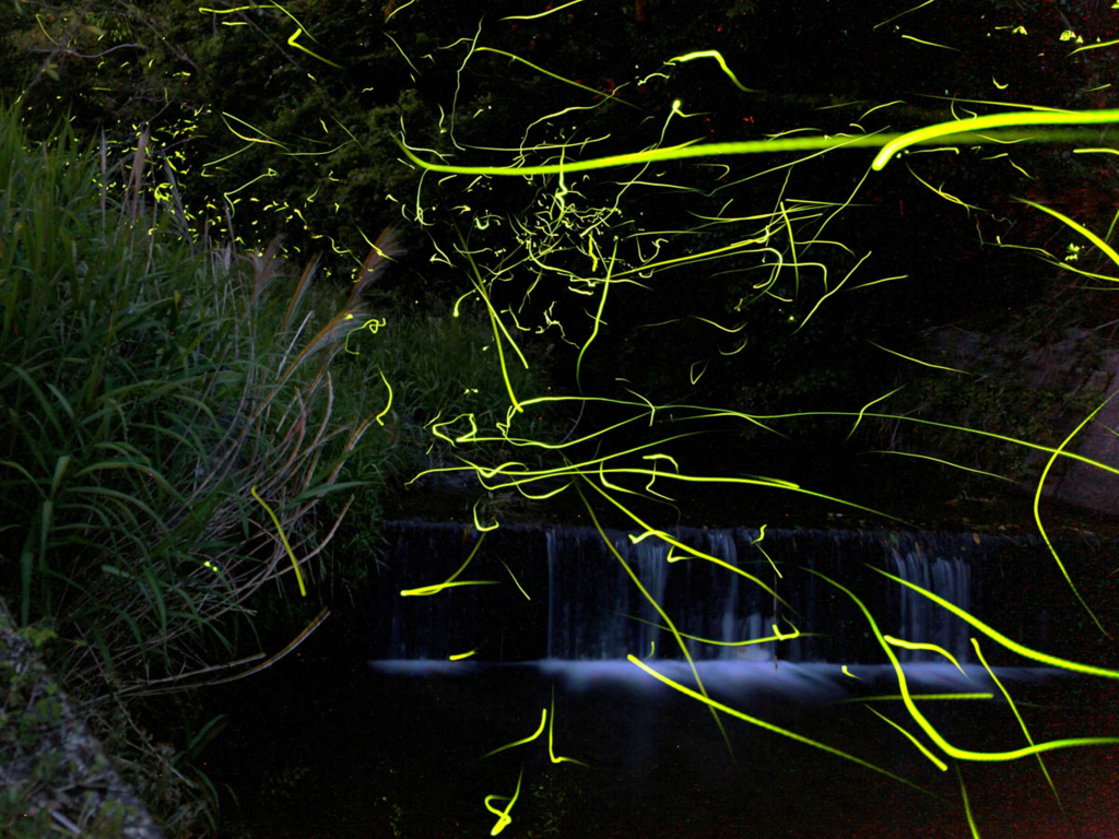 f:id:shiitakeoishi:20180531143004j:plain f:id:shiitakeoishi:20180531143004j:plain