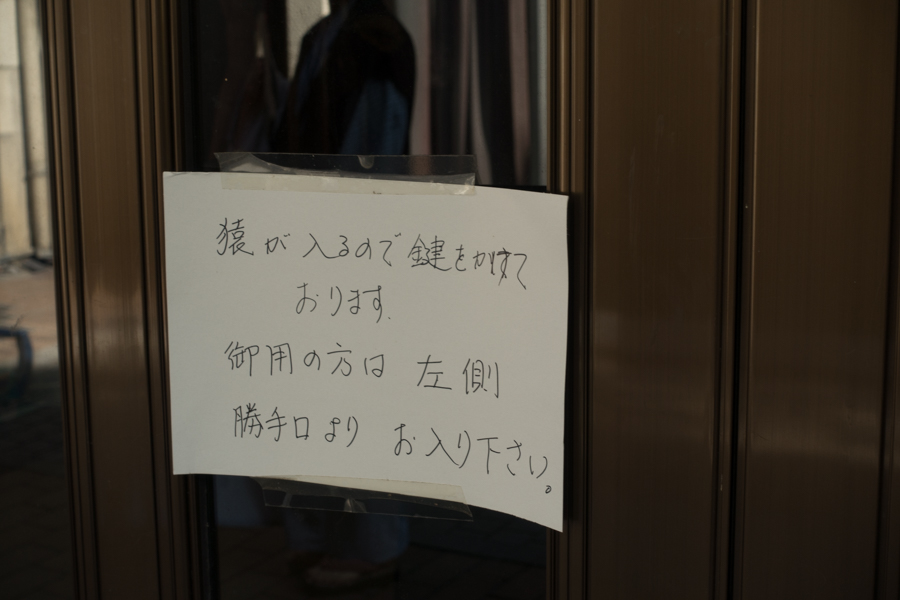 f:id:shiitakeoishi:20180819190858j:plain