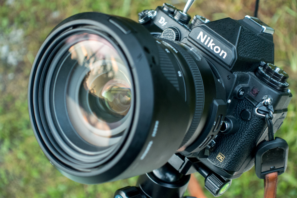 タムロン標準大三元!SP 24-70mm F2.8 G2を買ったのでNikon 純正 タムロン標準大三元!SP 24-70mm F2.8 G2を買ったのでNikon 純正