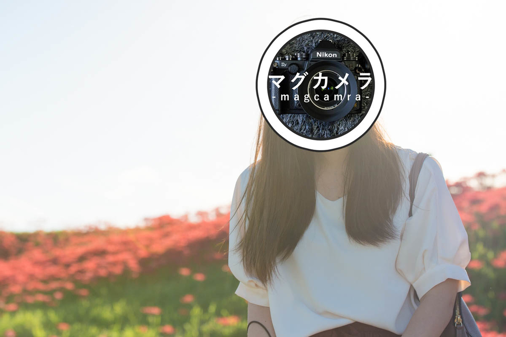 f:id:shiitakeoishi:20181008225230j:plain