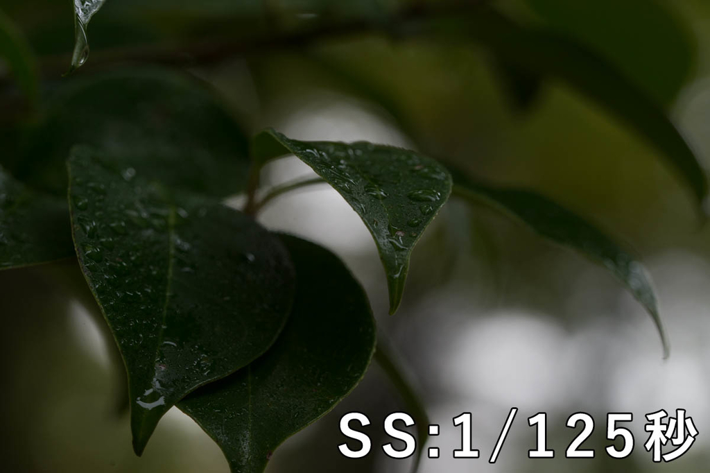 f:id:shiitakeoishi:20181008225552j:plain