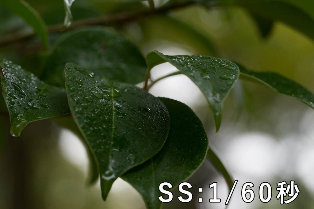 f:id:shiitakeoishi:20181008225621j:plain