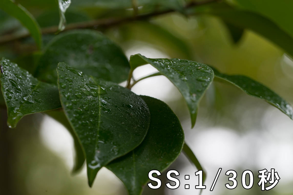 f:id:shiitakeoishi:20181008225631j:plain