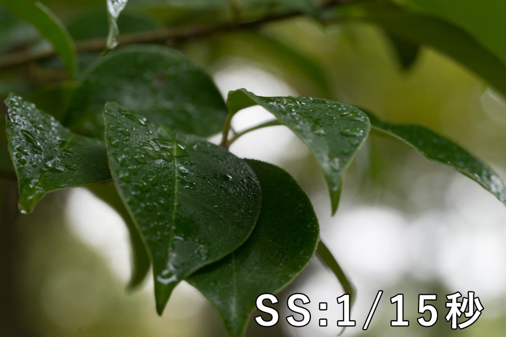 f:id:shiitakeoishi:20181008225644j:plain