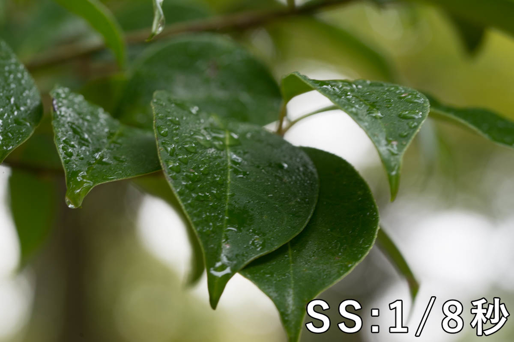 f:id:shiitakeoishi:20181008225654j:plain