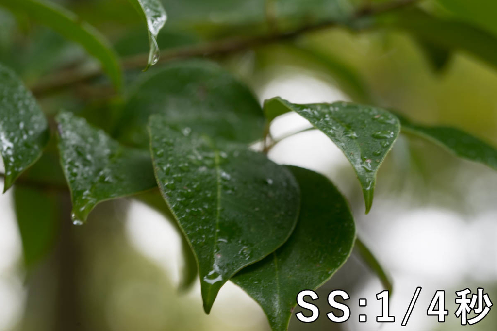 f:id:shiitakeoishi:20181008225704j:plain