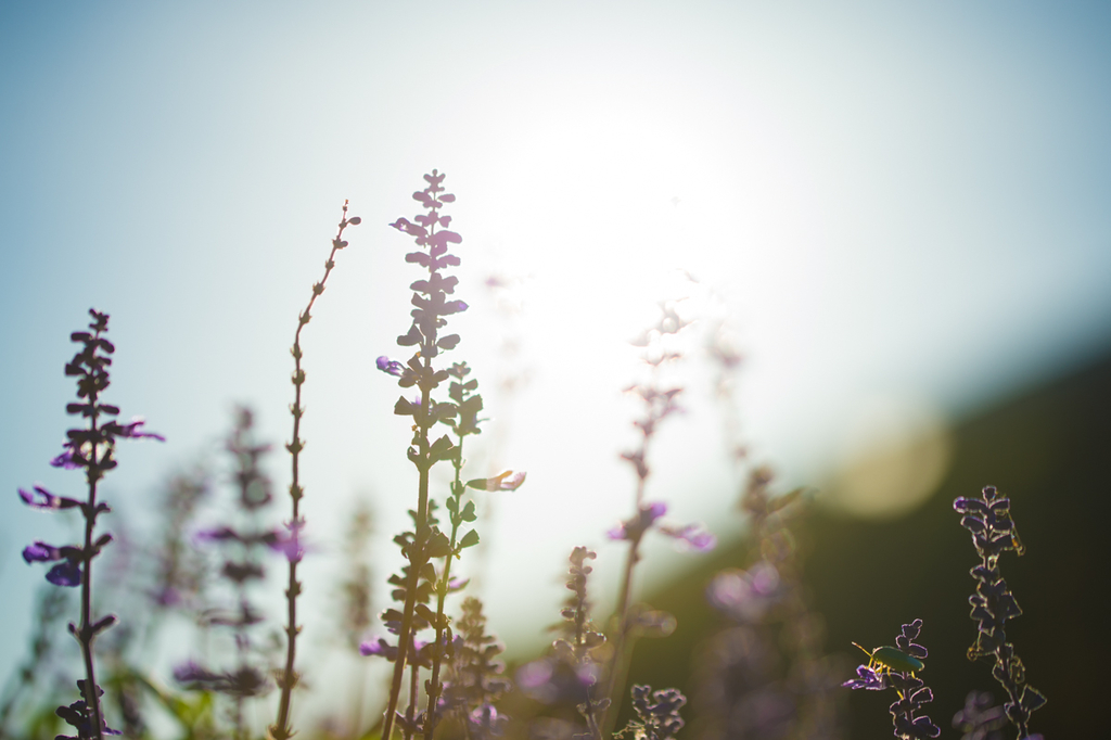 f:id:shiitakeoishi:20181008225844j:plain