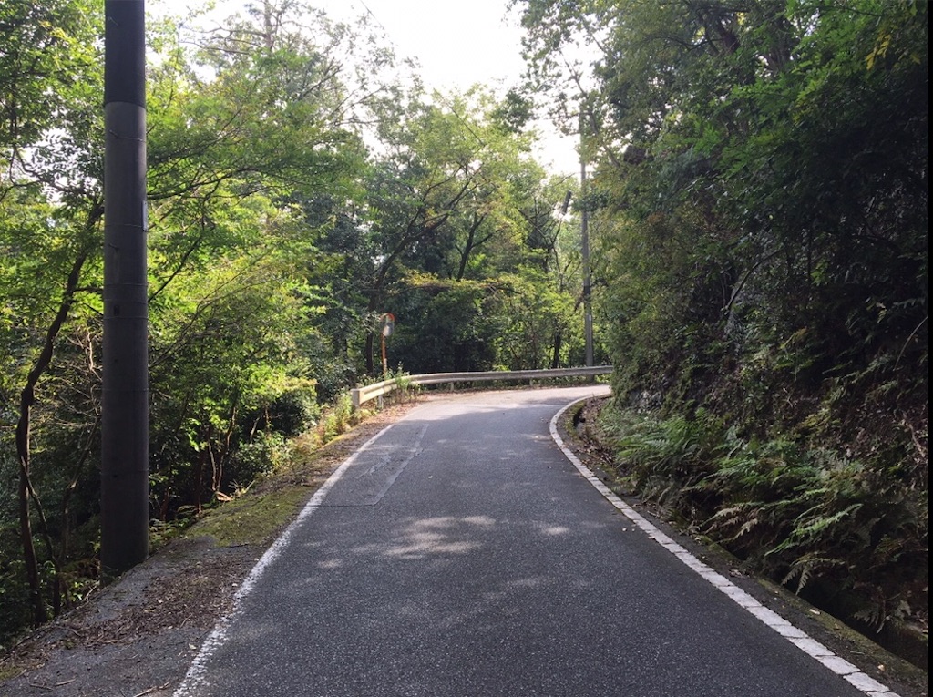f:id:shijyo:20200203122656j:image f:id:shijyo:20200203122656j:image