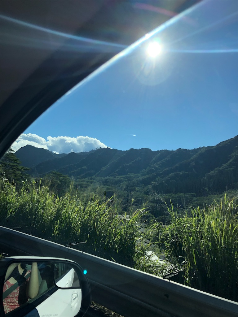 f:id:shika008:20190601225737j:image f:id:shika008:20190601225737j:image