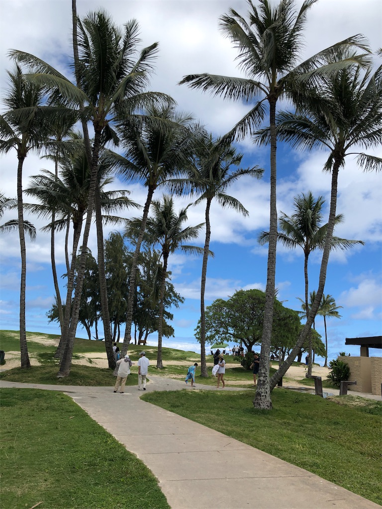 f:id:shika008:20190601230250j:image f:id:shika008:20190601230250j:image