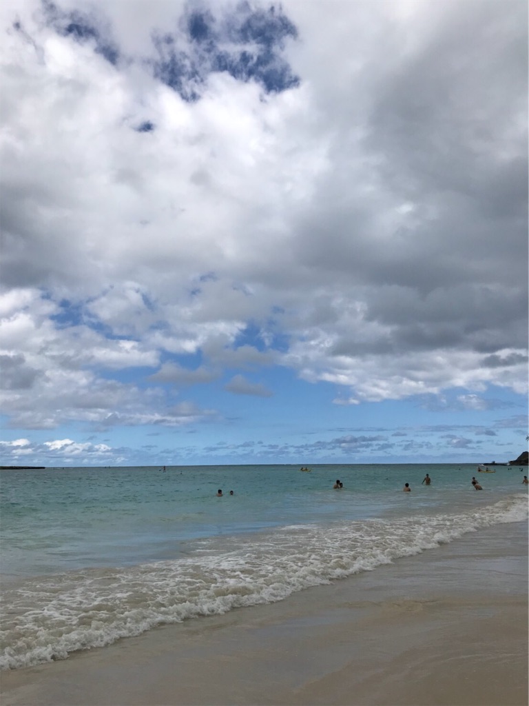 f:id:shika008:20190603125145j:image f:id:shika008:20190603125145j:image
