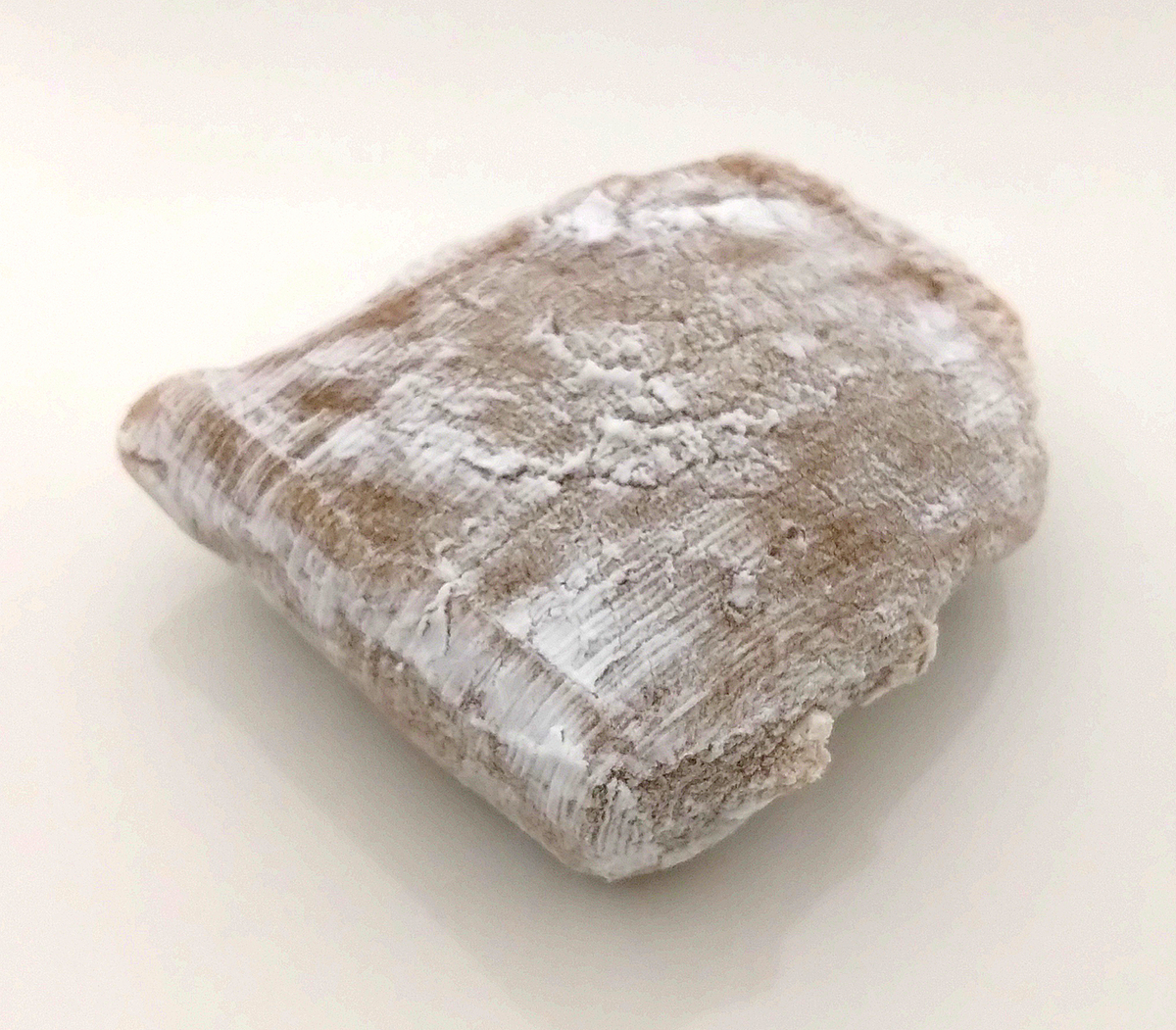 実食レビュー】有名人もおすすめ。カシューナッツ入りの柔らかなお餅