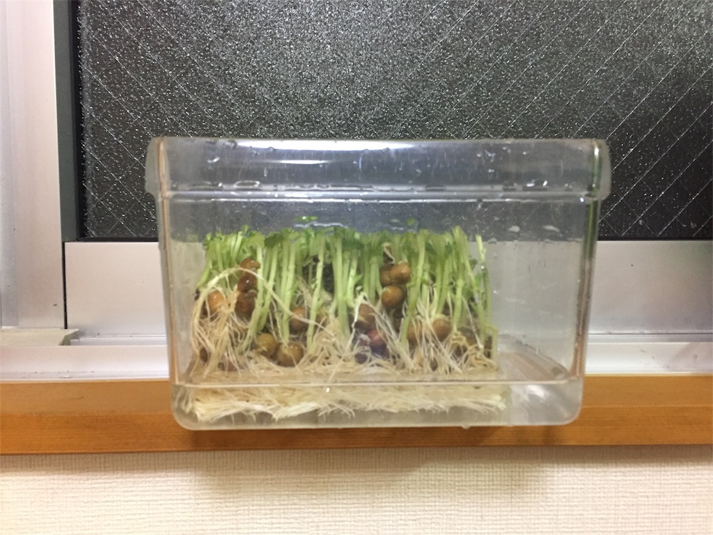 f:id:shikabanec:20170627085202j:image f:id:shikabanec:20170627085202j:image