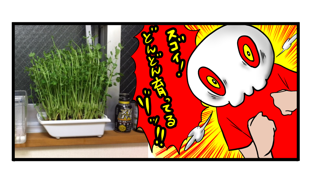 f:id:shikabanec:20170627123012j:plain f:id:shikabanec:20170627123012j:plain