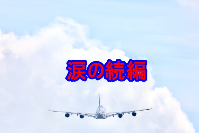 f:id:shikachannel:20200622165451j:plain f:id:shikachannel:20200622165451j:plain