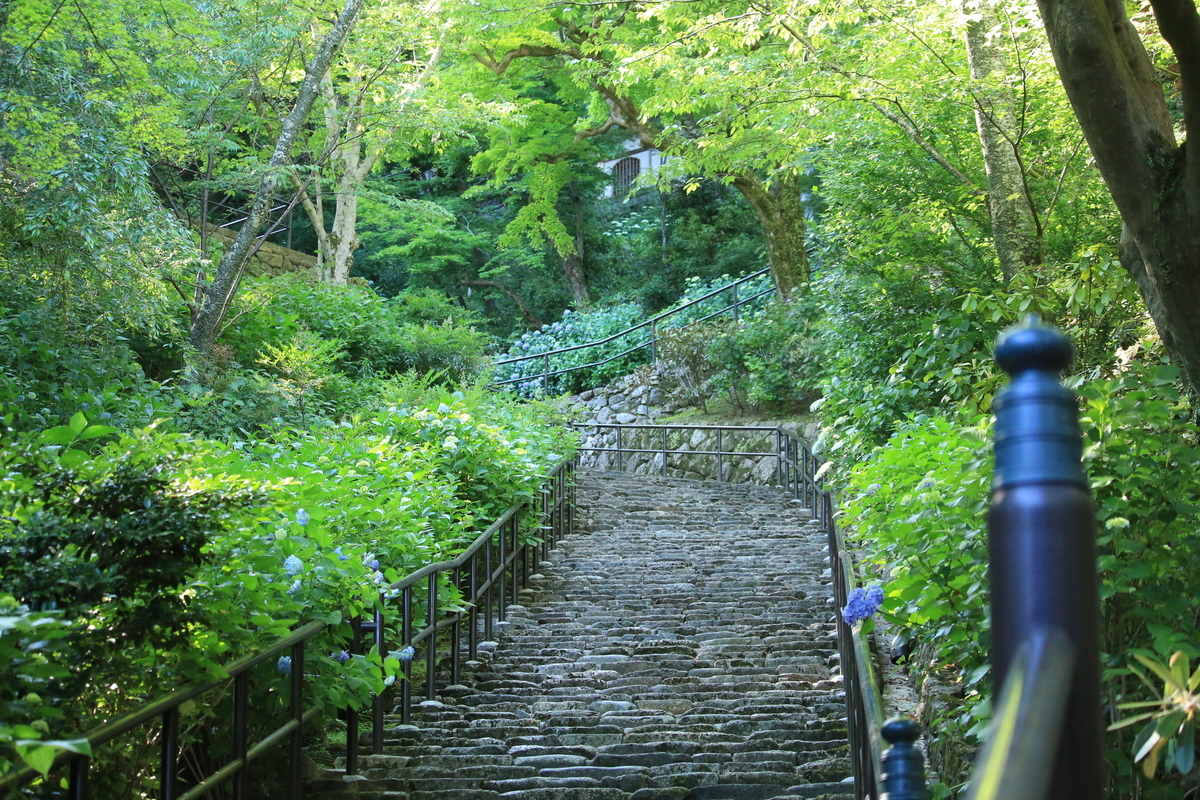 長谷寺