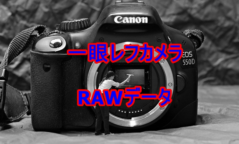 一眼レフカメラ RAWデータと現像ソフト - 鹿チャンネル 