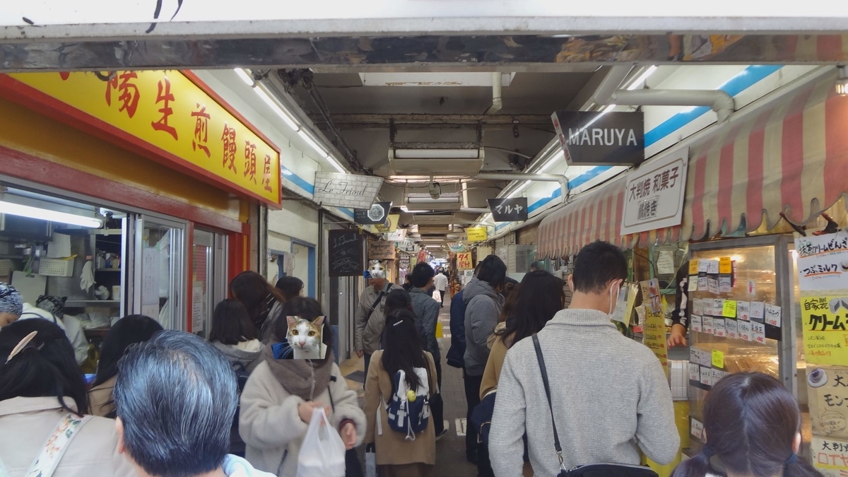 f:id:shikakou:20190317104104j:plain