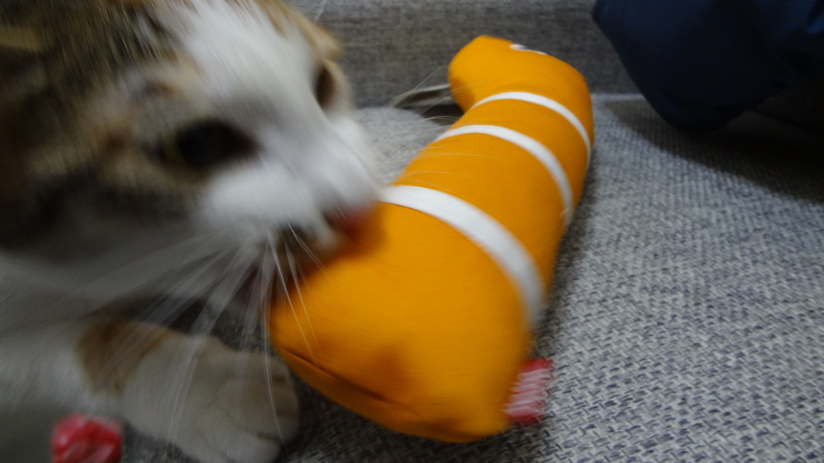 f:id:shikakou:20190418155439j:plain