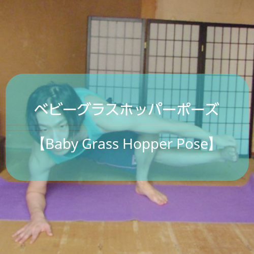 f:id:shikaku-master-ota:20190525205141p:plain f:id:shikaku-master-ota:20190525205141p:plain