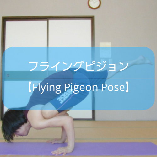 f:id:shikaku-master-ota:20190602191805p:plain f:id:shikaku-master-ota:20190602191805p:plain