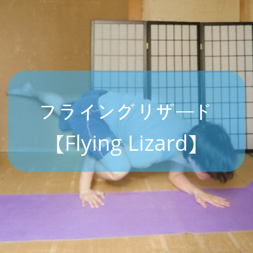f:id:shikaku-master-ota:20190604191617p:plain f:id:shikaku-master-ota:20190604191617p:plain