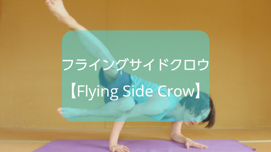 f:id:shikaku-master-ota:20190606183049p:plain f:id:shikaku-master-ota:20190606183049p:plain