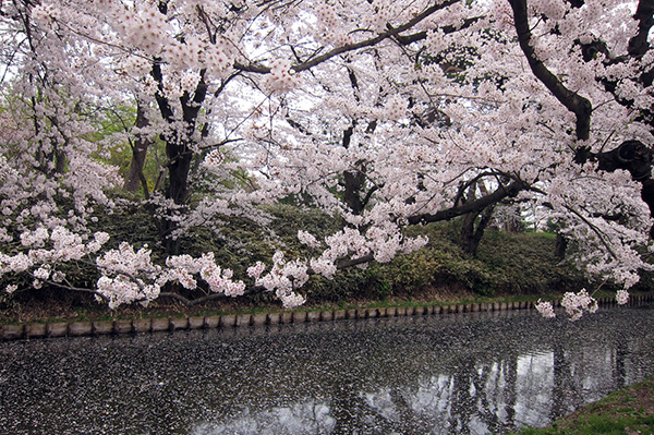 f:id:shikanai:20180424093038j:image f:id:shikanai:20180424093038j:image
