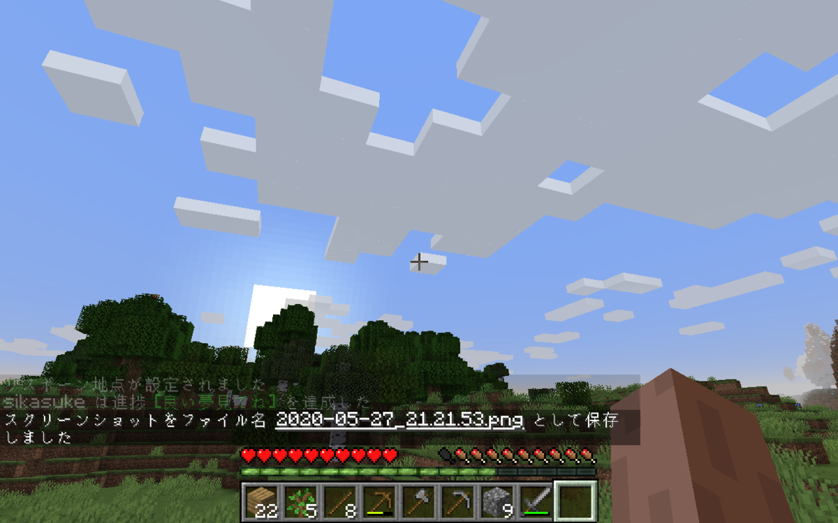 f:id:shikasuke18782:20200527225130p:plain