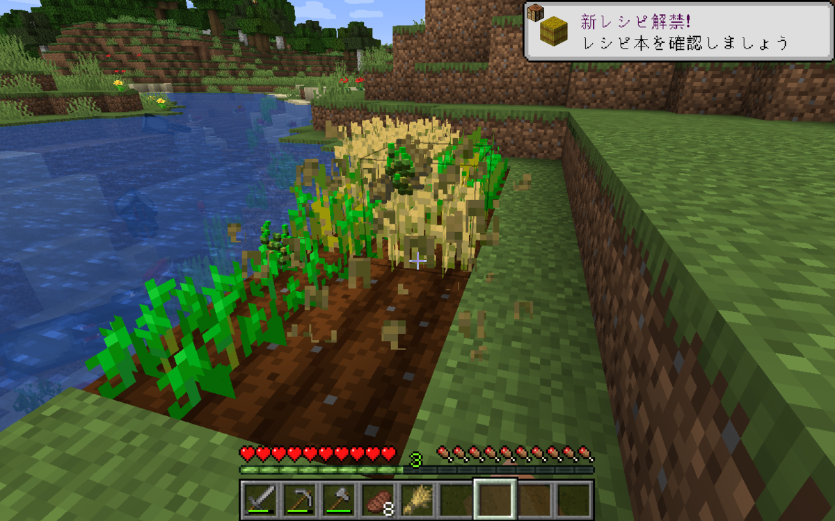 f:id:shikasuke18782:20200610104856p:plain