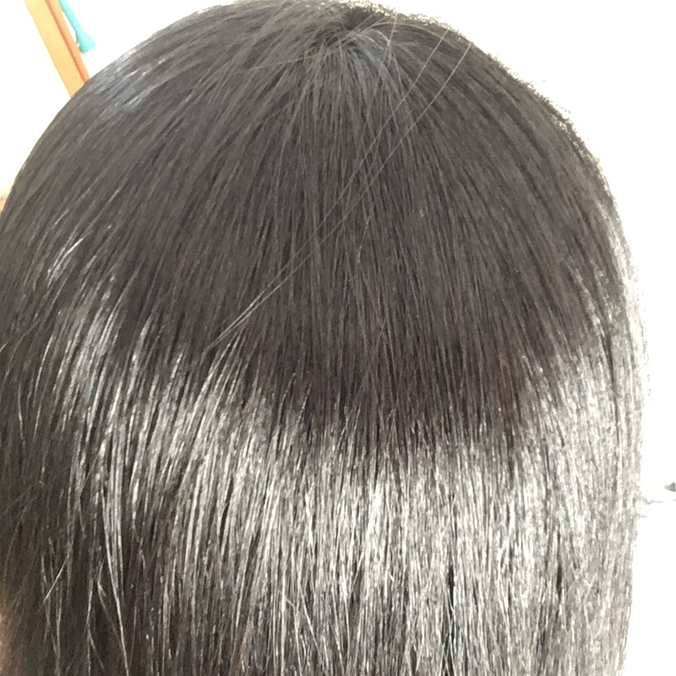 f:id:shikekox:20200217124041j:plain f:id:shikekox:20200217124041j:plain