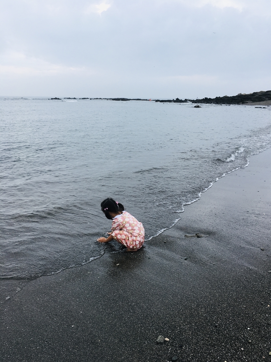 f:id:shikekox:20200615104232j:plain