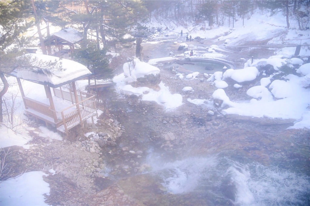 f:id:shiki-japanculture:20190210000222j:image f:id:shiki-japanculture:20190210000222j:image