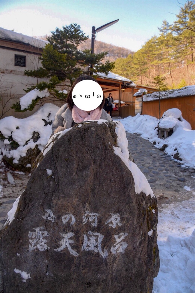 f:id:shiki-japanculture:20190325002114j:image f:id:shiki-japanculture:20190325002114j:image