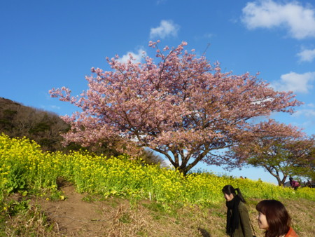 f:id:shiki7871:20110305164640j:image