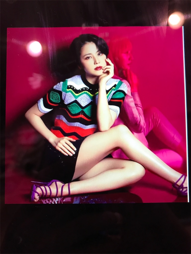 f:id:shiki_sakura_victory:20190204001132j:image