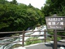f:id:shikicaze:20100827035404j:image