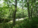 f:id:shikicaze:20100827040908j:image