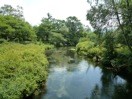 f:id:shikicaze:20100827045958j:image