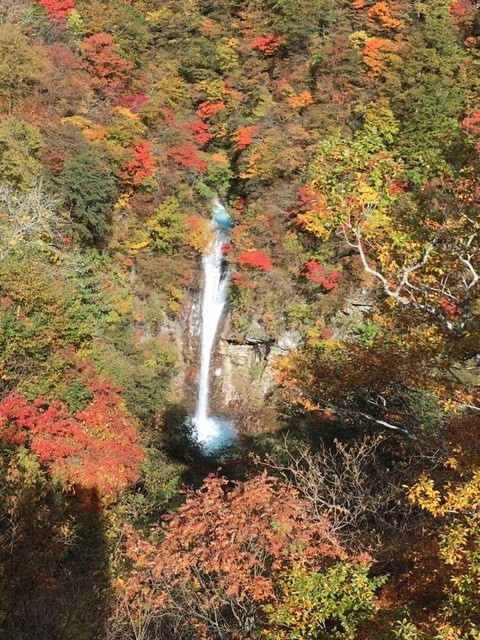 f:id:shikicaze:20191023104619j:plain f:id:shikicaze:20191023104619j:plain
